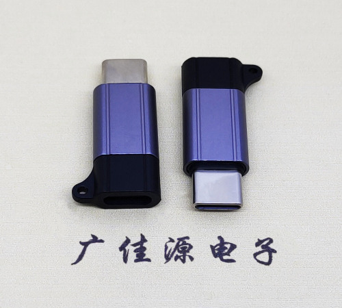 郑州Type-C母转Type-C公 USB3.1 PD100W快冲接口